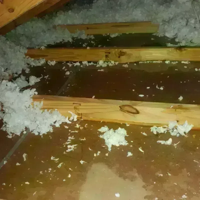 Attic Water Damage in Camden, NC