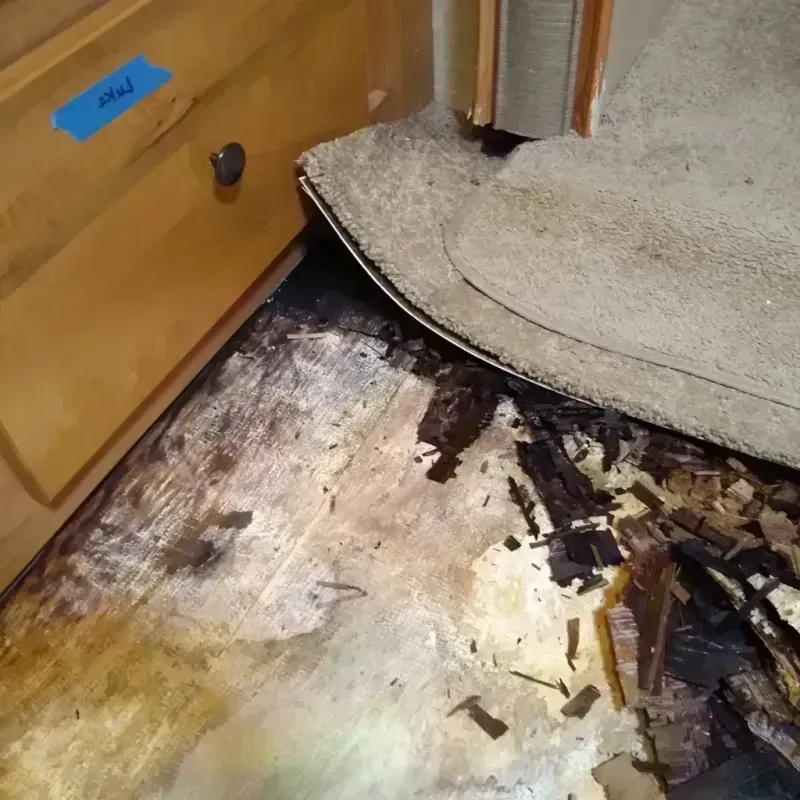 Wood Floor Water Damage in Camden, NC